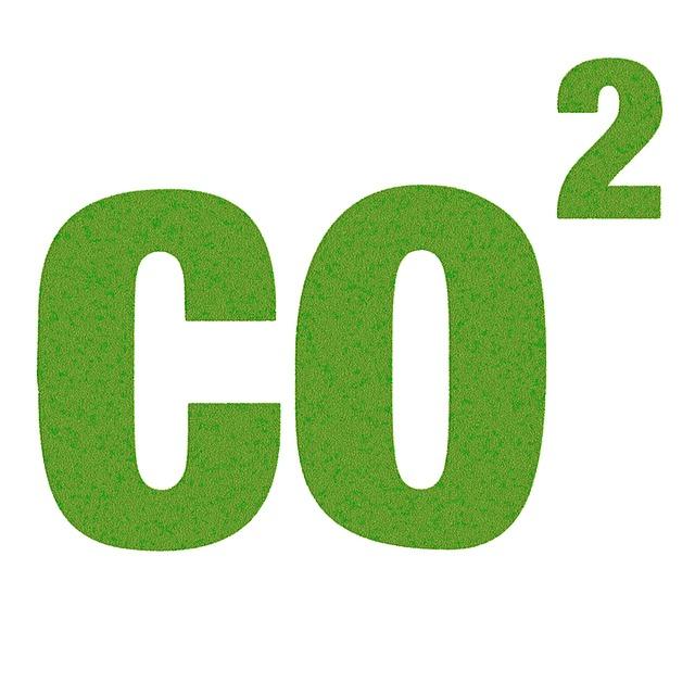 CO2 cukrová třtina: Vliv pěstování na životní prostředí!