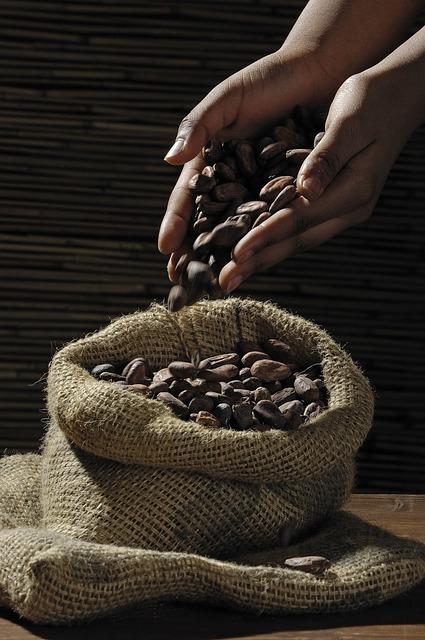 Jak jíst kakaové boby: Kreativní tipy na konzumaci čerstvého kakaa