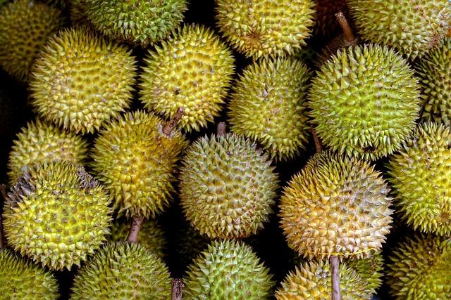 Durian a pití alkoholu: Tipy na harmonické spojení s oblíbeným pitím