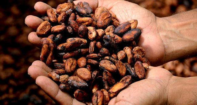 Jak použít kakaové boby: Kreativní recepty a variace na téma čokoláda