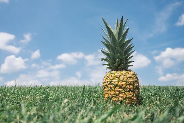 Ananas na trávení: Jak podporuje proces trávení a metabolismu