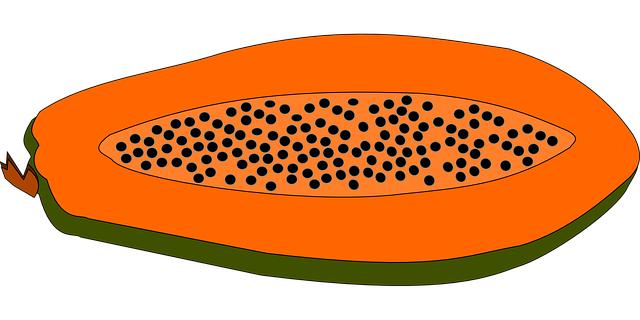 Odkud pochází papaja: Původ a historie tropického ovocného pokladu