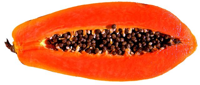 Papaya ovoce: Pohled na různé druhy papáje a jejich charakteristické vlastnosti