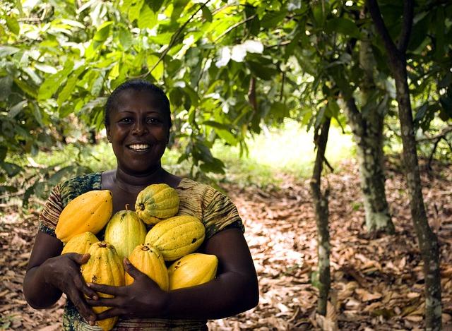 Zajímavosti o kakaových luscích: Skvosty tajemného světa kakaovníku