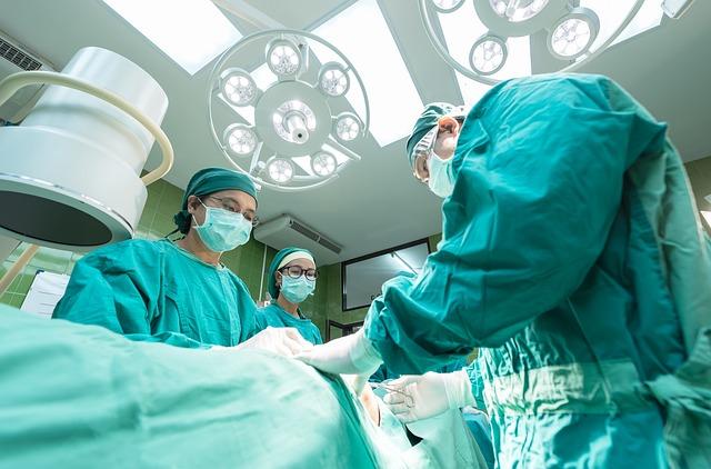 Péče o kořeny avokáda: Základní pravidla a doporučení