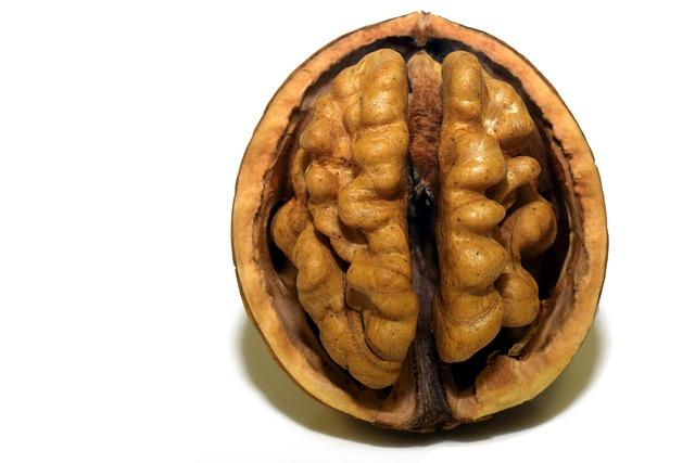 Ochrana mozku a možný vliv na prevenci Alzheimerovy choroby