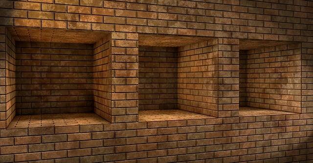 1. Vybrání vhodného avokádového semínka: Klíčový první krok pro domácí úspěch