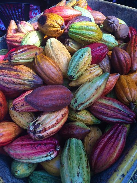 Inovativní využití kakaových lusků ve výživě a kosmetice