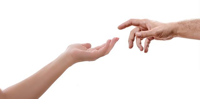 Jaké Živiny Obsahuje Avokádo? Kompletní Přehled Nutričních Hodnot 5 Podpora zdravého srdce a mozku
