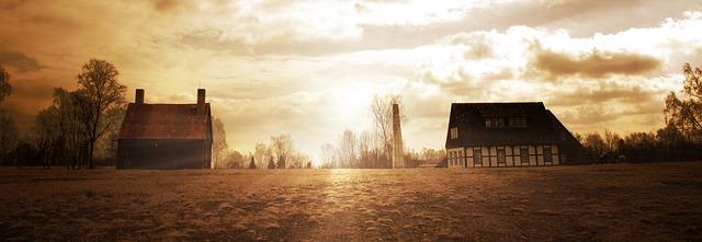 Zajímavé techniky tvarování avokádo bonsai