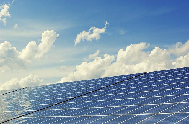 Seminka z papaji: Kreativní možnosti využití semínek z papáje 3 Energetické benefity semínek z papáje pro zdraví a vitalitu