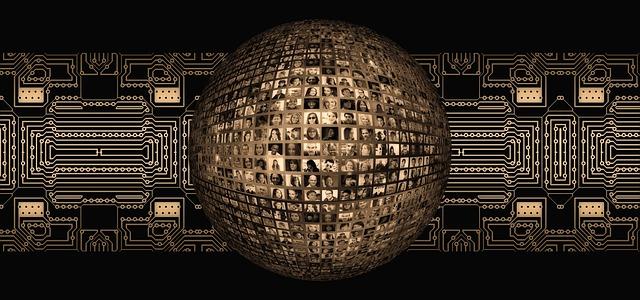 Doporučené denní množství avokáda pro dospělého jedince