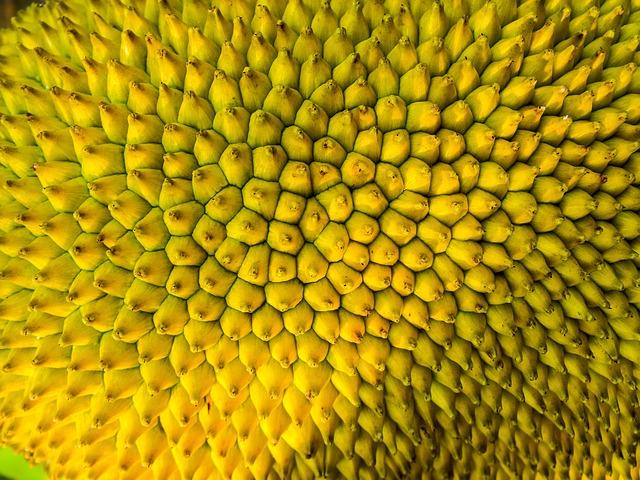 Jak využít všechno z jackfruitu a durianu: Užitečné triky a nápady