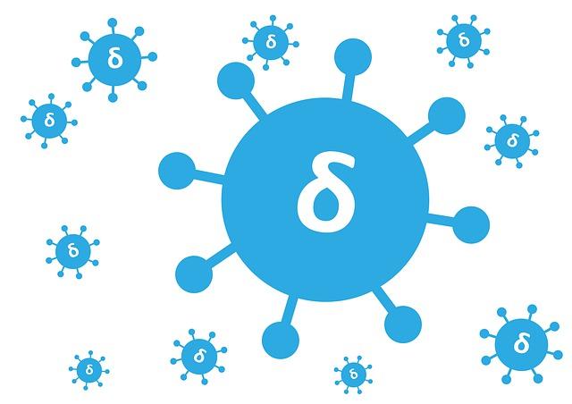 Co dělat s čerstvou papajou: Kreativní recepty a nápady na využití 10 Zdravé varianty s čerstvou papajou: Zahřejte se v chladných dnech a upevněte imunitu