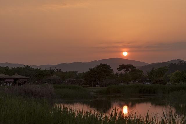 Kde a Jak Se Vyštipuje Rostlinka Avokáda? Průvodce Pro Začátečníky 3 Kdy a jak často by měla být rostlinka avokáda vyštipována pro optimální výsledky?