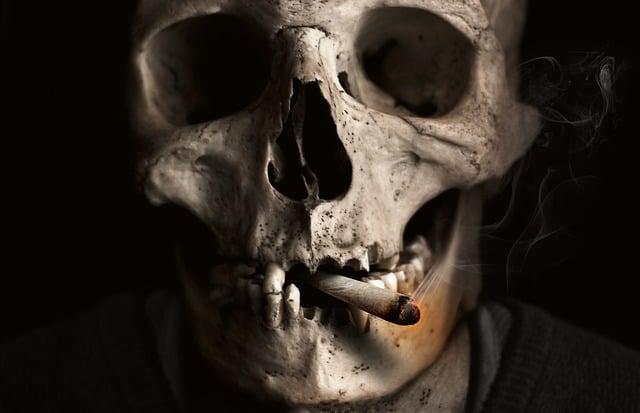 Kouření mučenky a rizika rakoviny