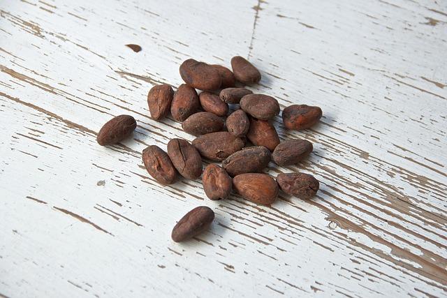 Kakaové boby - bohatý zdroj živin pro vaše zdraví