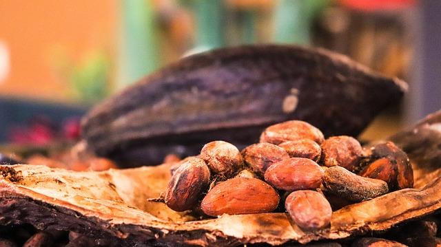 Kakao jako prevence srdečních onemocnění a snížení krevního tlaku
