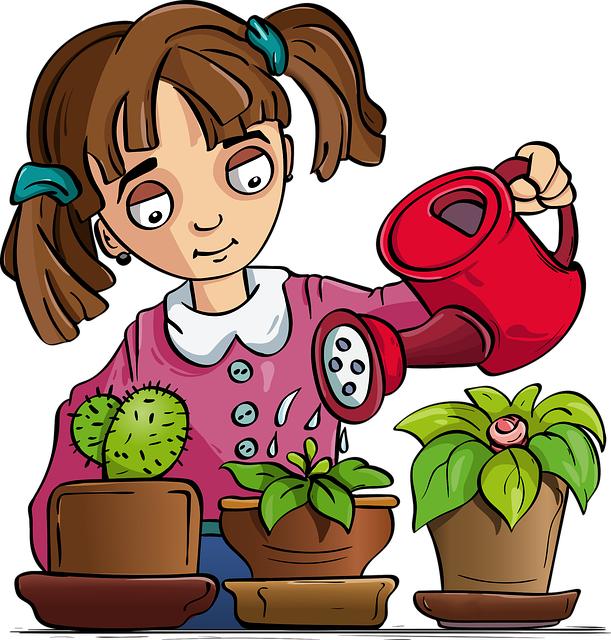 Jak správně zalévat rostliny venku a jaký je optimální čas?