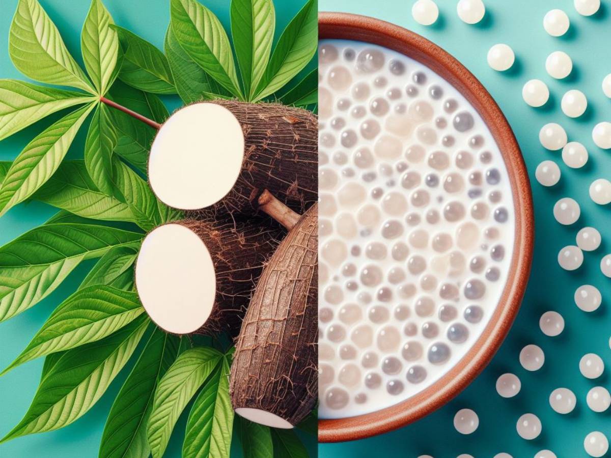 Maniok a Tapioka: Rozdíly a Použití v Kuchyni